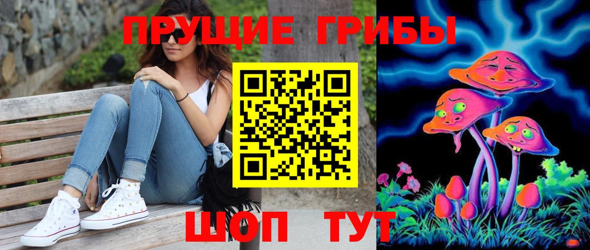 Семилуки  Галлюциногенные грибы Psilocybine cubensis  Вход с VPN 