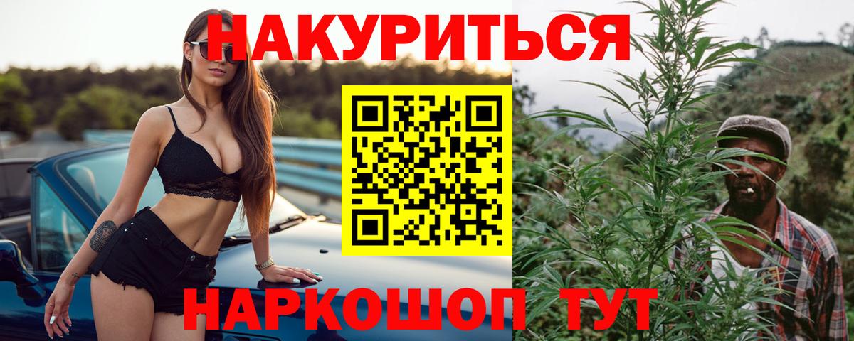 Семилуки  Конопля OG Kush  Марихуана планчик  Каннабис планчик  Вход с VPN 